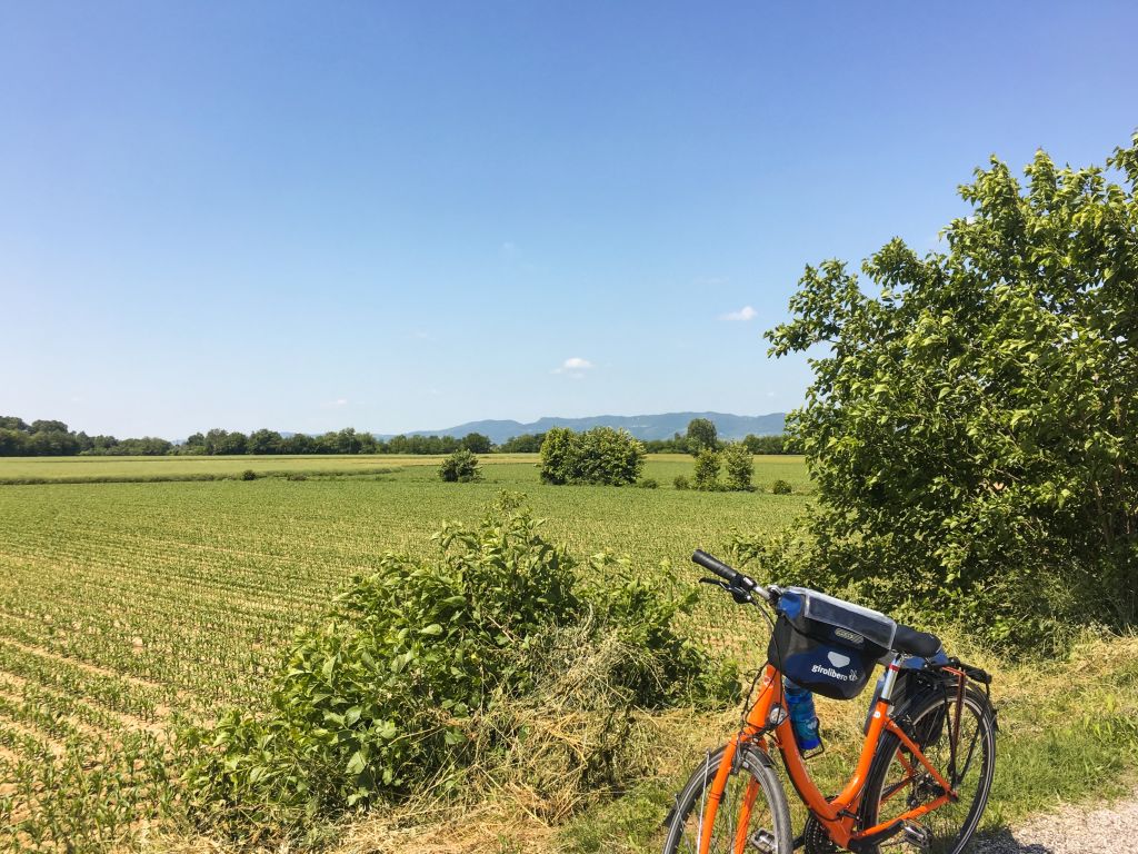 Ländliche Landschaft mit grünen Feldern entlang des Radwegs zwischen Verona und Venedig, Italien.