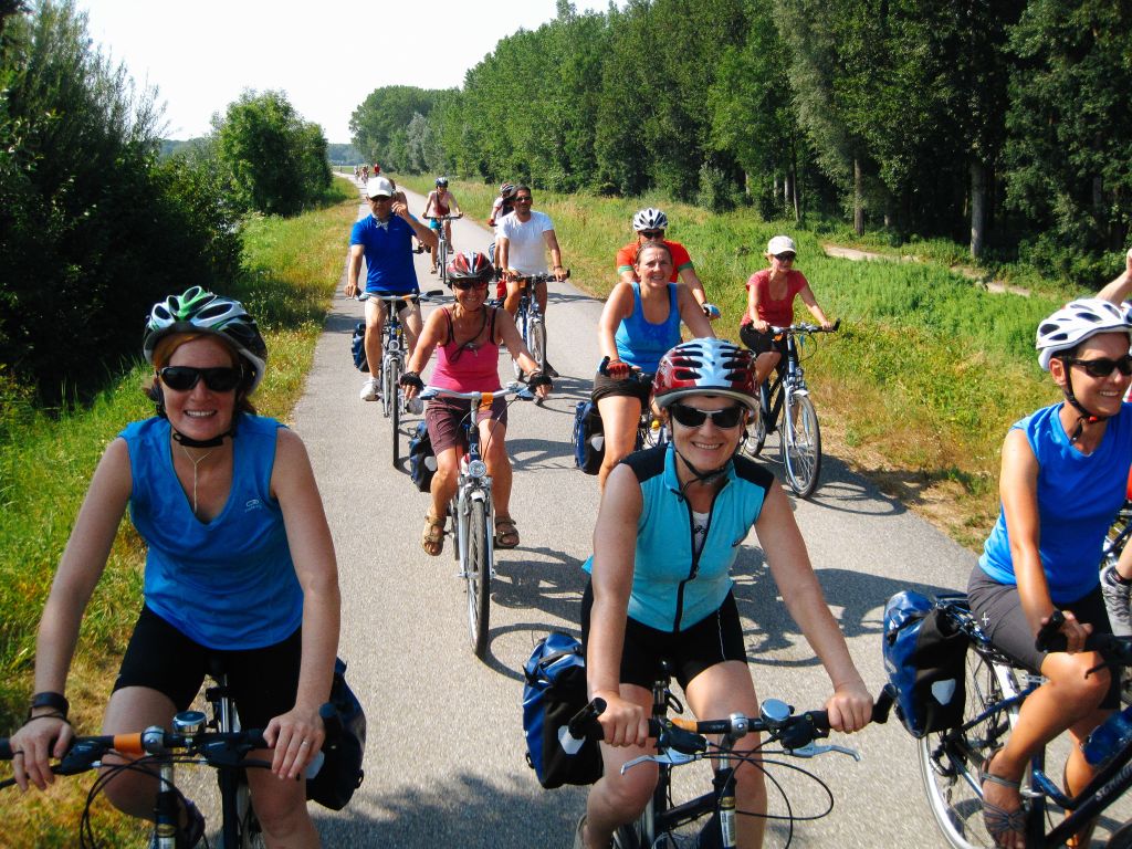 Gruppo di cicloturisti con caschetto, paesaggio verde pieno di alberi, ciclabile Danubio, tra Passau e Vienna, Austria