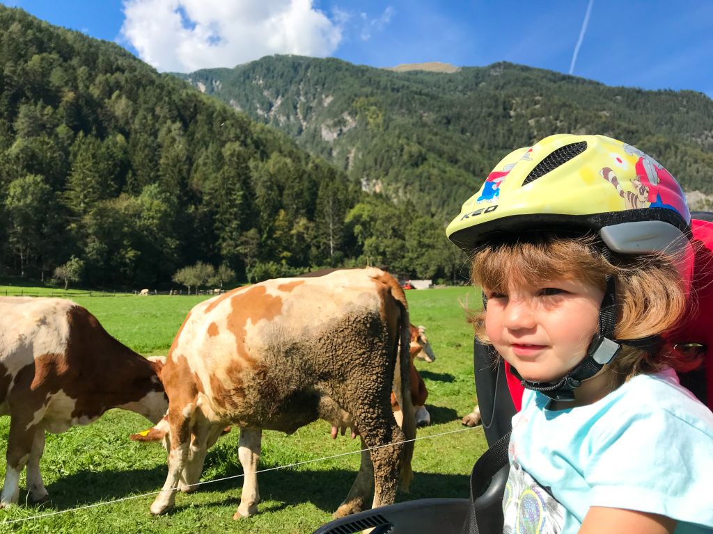 Bambina sul seggiolino di una bici, con caschetto, mucche al pascolo, paesaggio verde di montagna, su ciclabile della Drava in Austria