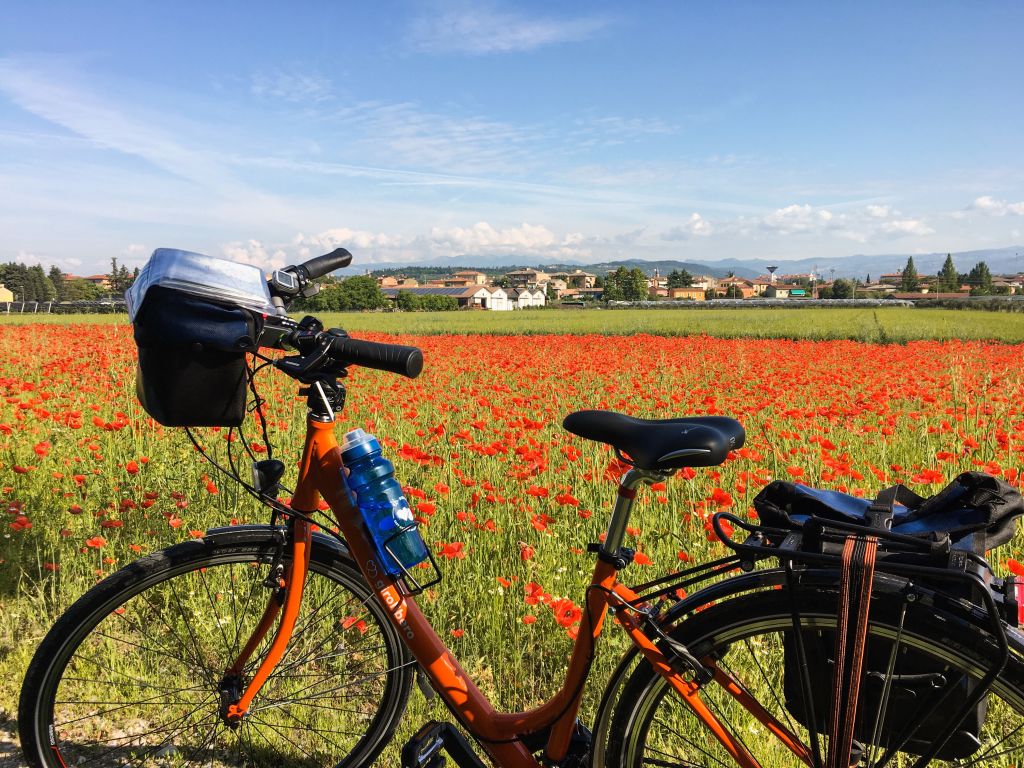 Bici muscolare Girolibero in un meraviglioso campo di papaveri rossi, tra Lago di Garda e Mincio, Italia