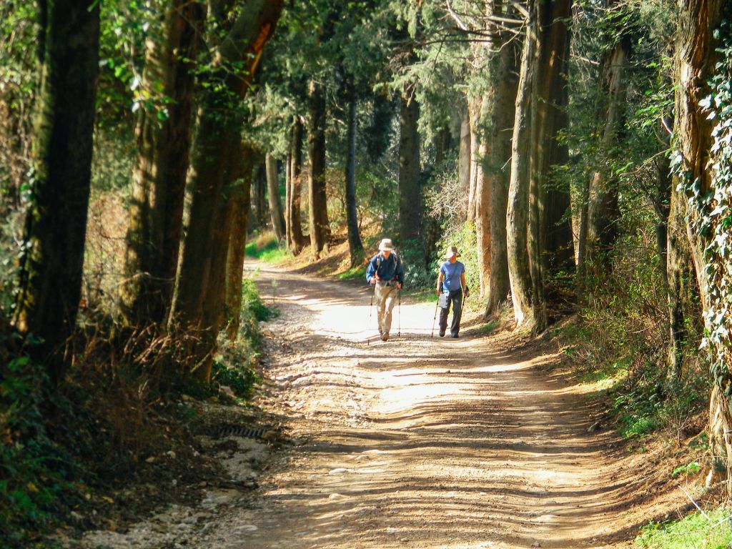 Coppia di escursionisti su un sentiero alberato lungo la Via di San Francesco