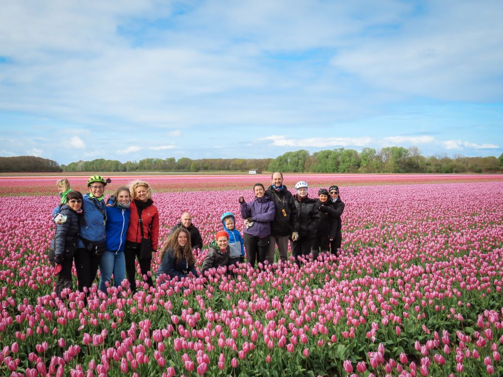 Cyclists on holiday with "Girolibero" in Holland among a field of tulips