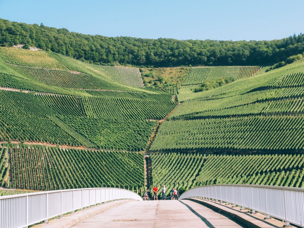 Gruppo di ciclisti in viaggio con "Girolibero" su un ponte lungo la ciclabile con panoramica dei vigneti della Mosella