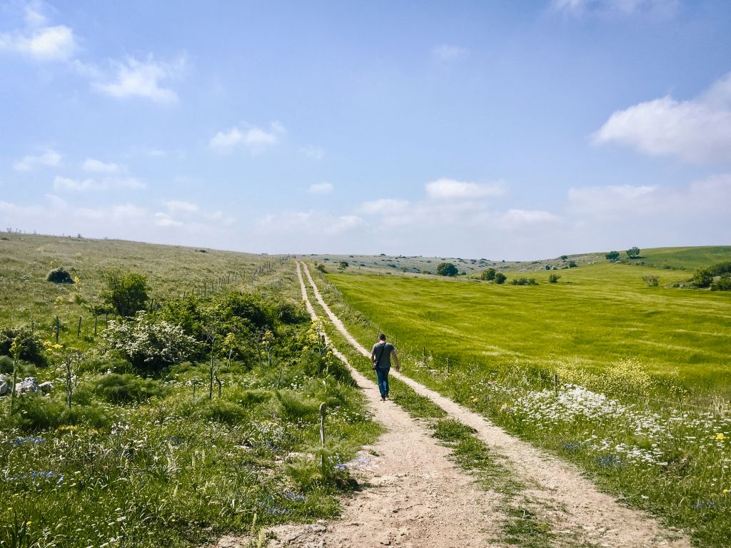 Escursionista su sentiero nella Valle d'Itria, circondato da uliveti e campi verdi.