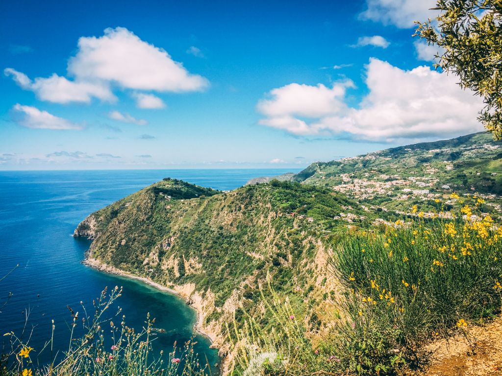 Panorama con fiori sul mare, trekking Ischia "Girolibero"