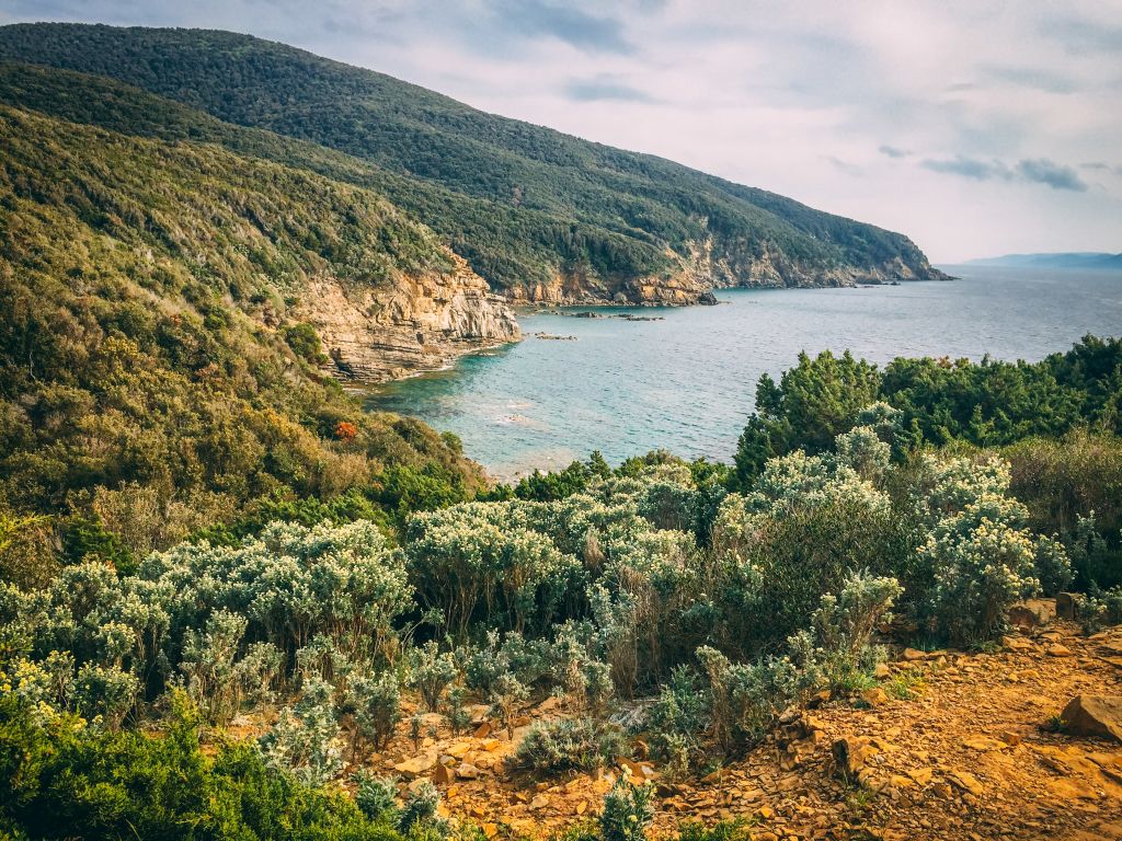 Costa rocciosa circondata dalla vegetazione, Toscana