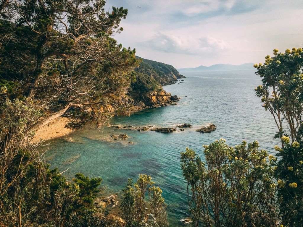 Scorcio tra la vegetazione di una piccola baia, Toscana