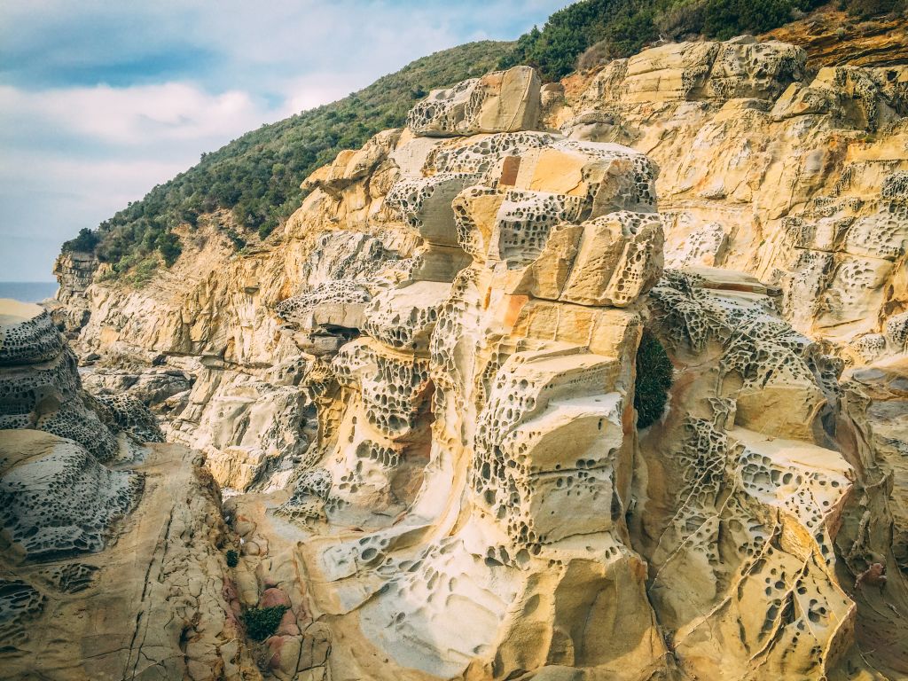 Stratificazioni di rocce color giallo, Costa degli Etruschi