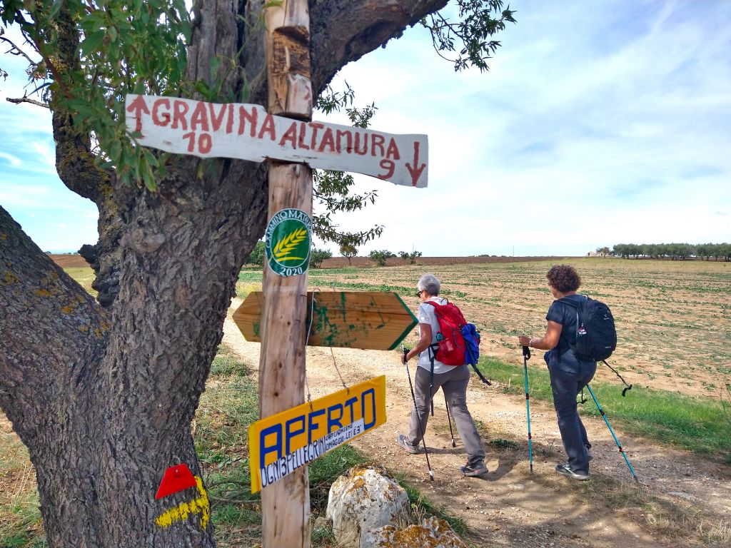 Escursionisti fermi vicino a dei cartelli direzionali di legno su un albero lungo il Cammino Materano.