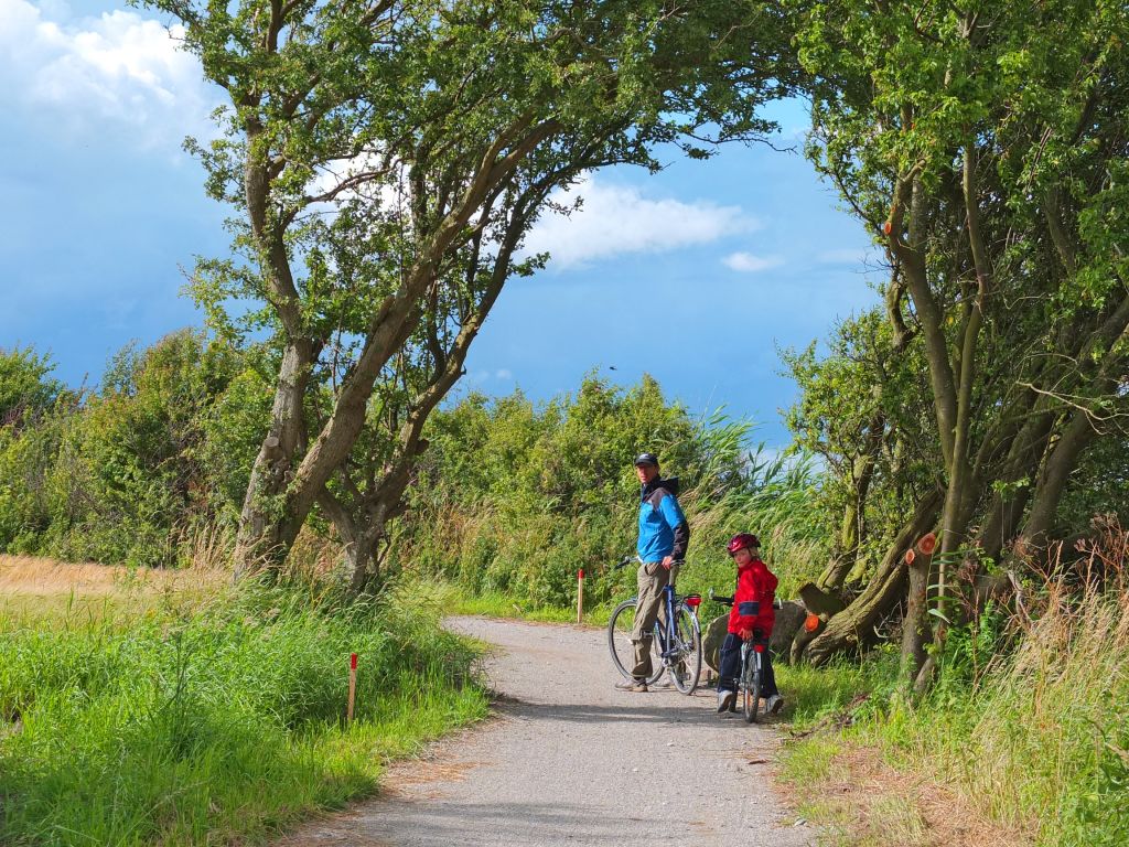 Famiglia in bicicletta su un sentiero tra alberi e prati, isola di Fyn, Danimarca