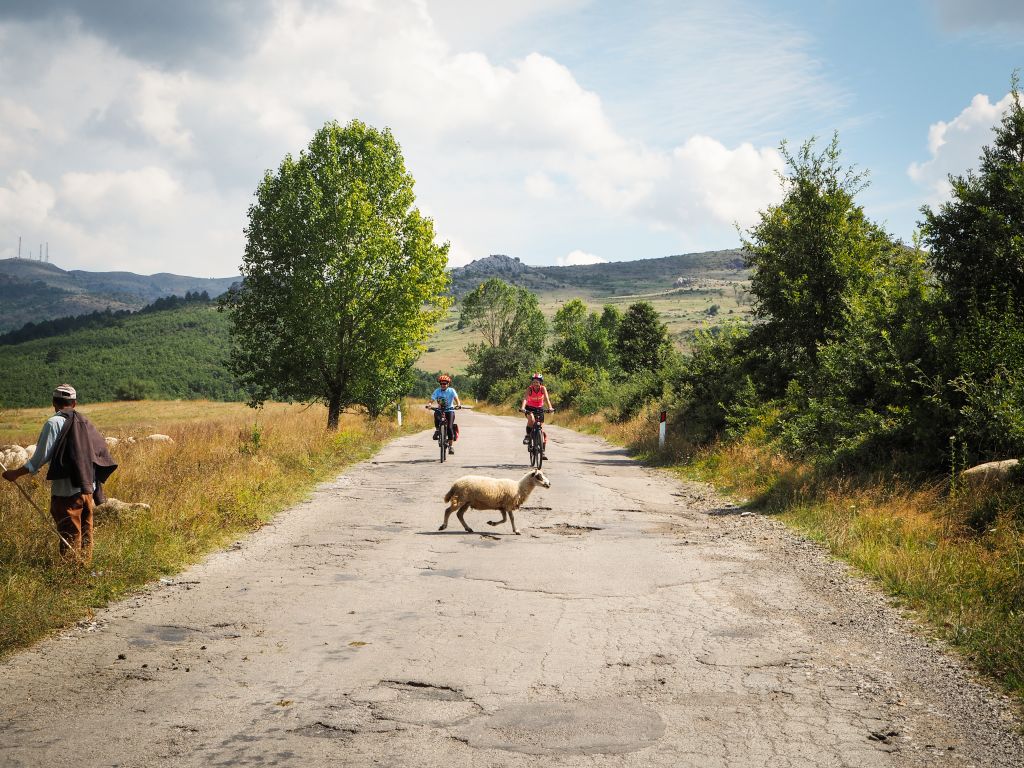Ciclisti attraversano una strada rurale, vacanze in bici in Albania