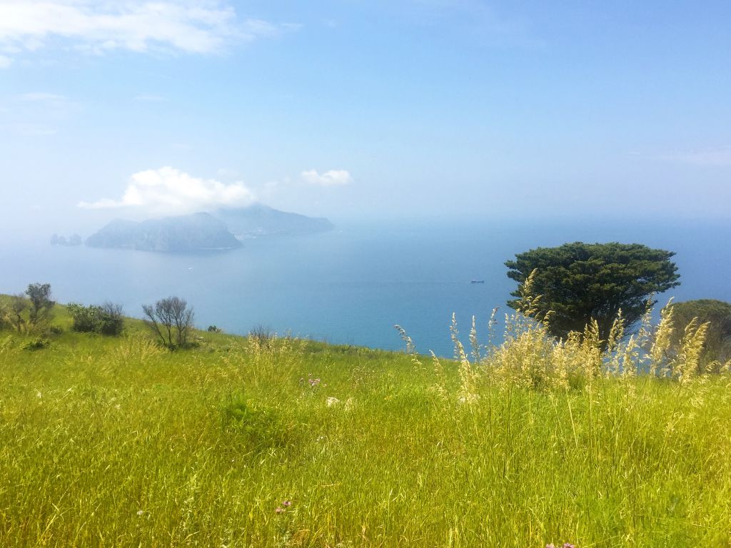 Paesaggio verde con vista sul mare e colline, Sorrento.
