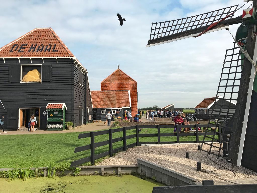 Mulino a vento tradizionale vicino a case rosse a Zaanse Schans, Paesi Bassi.