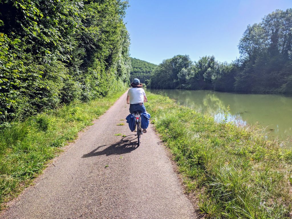 Ciclista su pista ciclabile immersa in un viale alberato lungo il fiume Dordogna, Francia in bicicletta con "Girolibero"