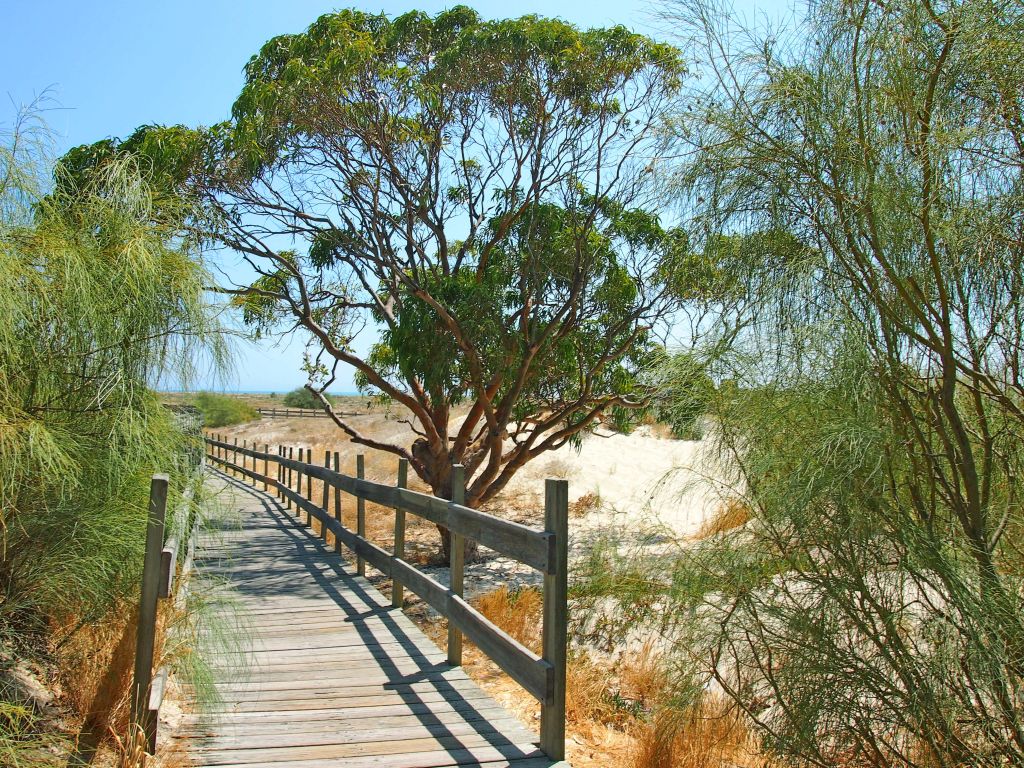 Passerella tra alberi su una collina erbosa in un parco naturale sulla costa portoghese