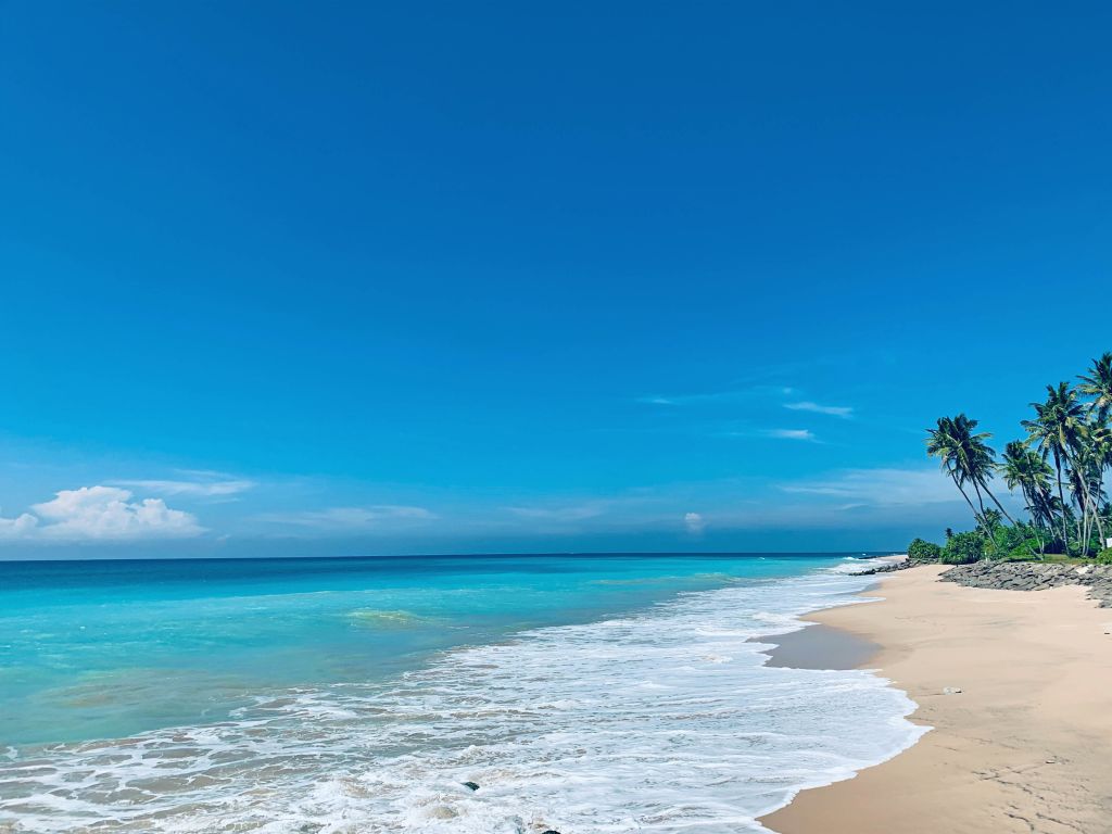 Spiaggia tropicale con sabbia bianca e palme vicino all’oceano.