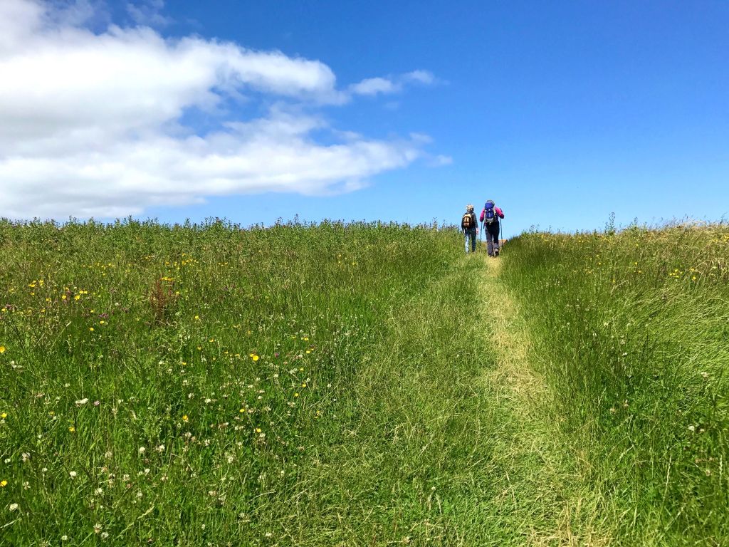 Escursionisti su un sentiero erboso che si snoda lungo la costa dell'Irlanda del Nord.