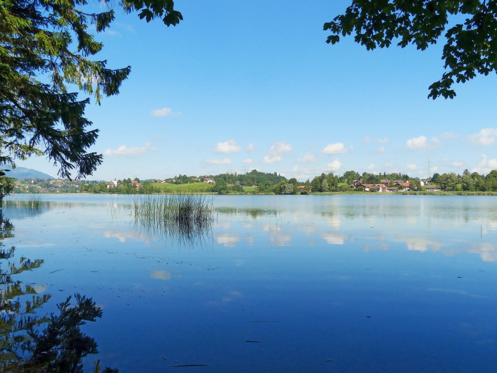Riflesso del cielo sul lago Wörthersee, circondato da alberi e natura.