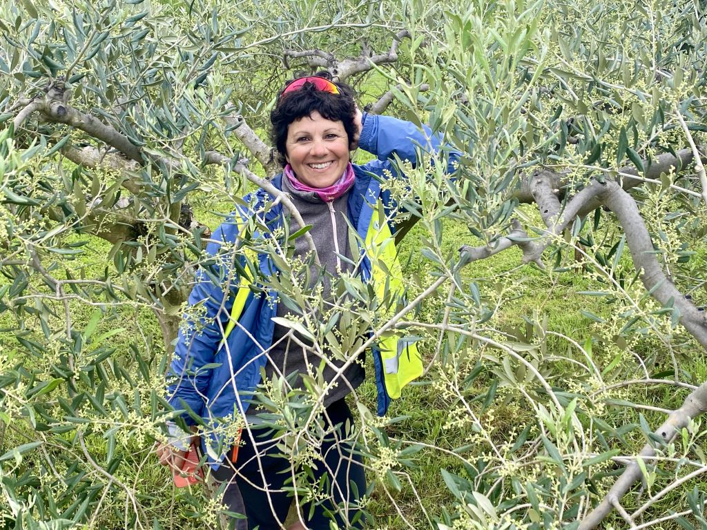 Escursionista tra gli ulivi in un sentiero naturale in Francia.