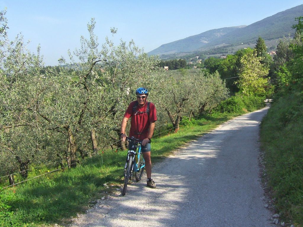 Percorso ciclabile tra uliveti umbri con un ciclista in viaggio con Girolibero immerso nella natura e colline all'orizzonte.