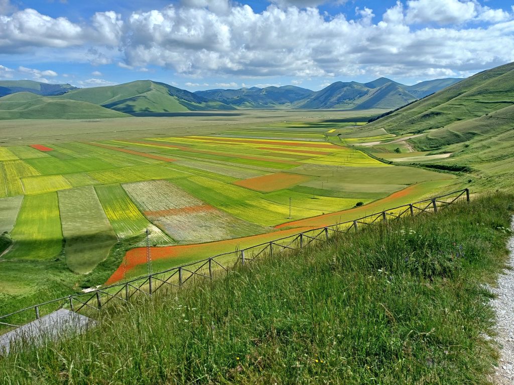 Vista panoramica della fioritura nella Piana di Castelluccio di Norcia, con campi colorati e montagne.