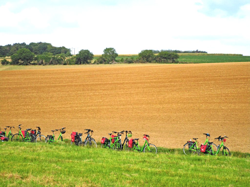 Eine Gruppe von Fahrrädern in einem Weizenfeld auf dem Lande in Frankreich.