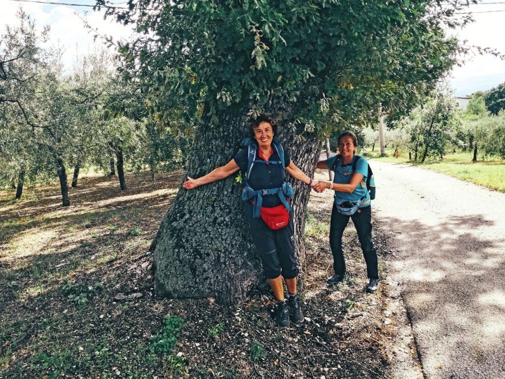 Due donne tra gli ulivi lungo un tratto del Cammino di Francesco vicino ad Assisi, viaggio trekking organizzato Girolibero.
