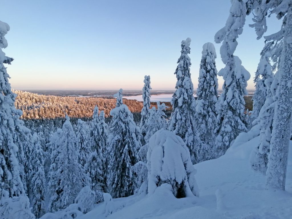 Torre di osservazione circondata da foreste innevate a Ruka, Lapponia, Finlandia.