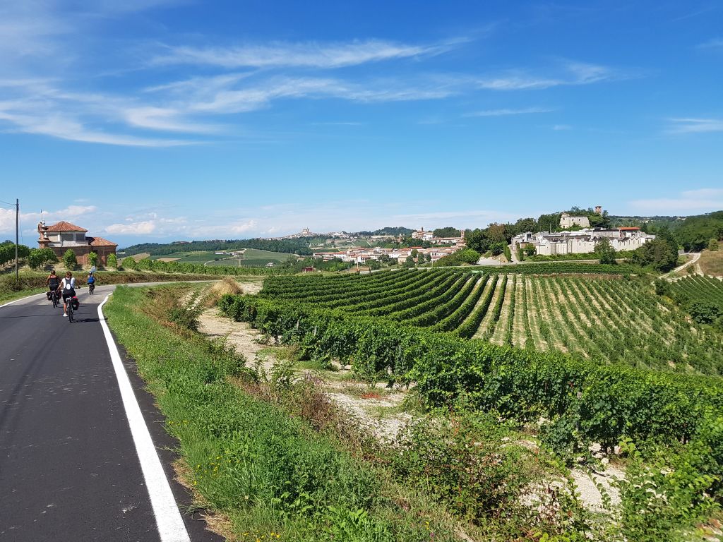 Strada ciclabile asfaltata tra i filari di nebbiolo nella zona del Barolo, Langhe.