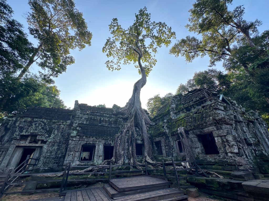 Ingresso nascosto tra la giungla ad Angkor Wat, Cambogia