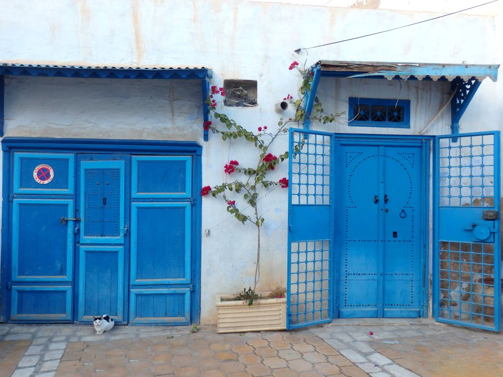 Porta e infissi blu su facciata bianca nel borgo costiero di Sidi Bou Saïd, tappa pittoresca dei tour in Tunisia
