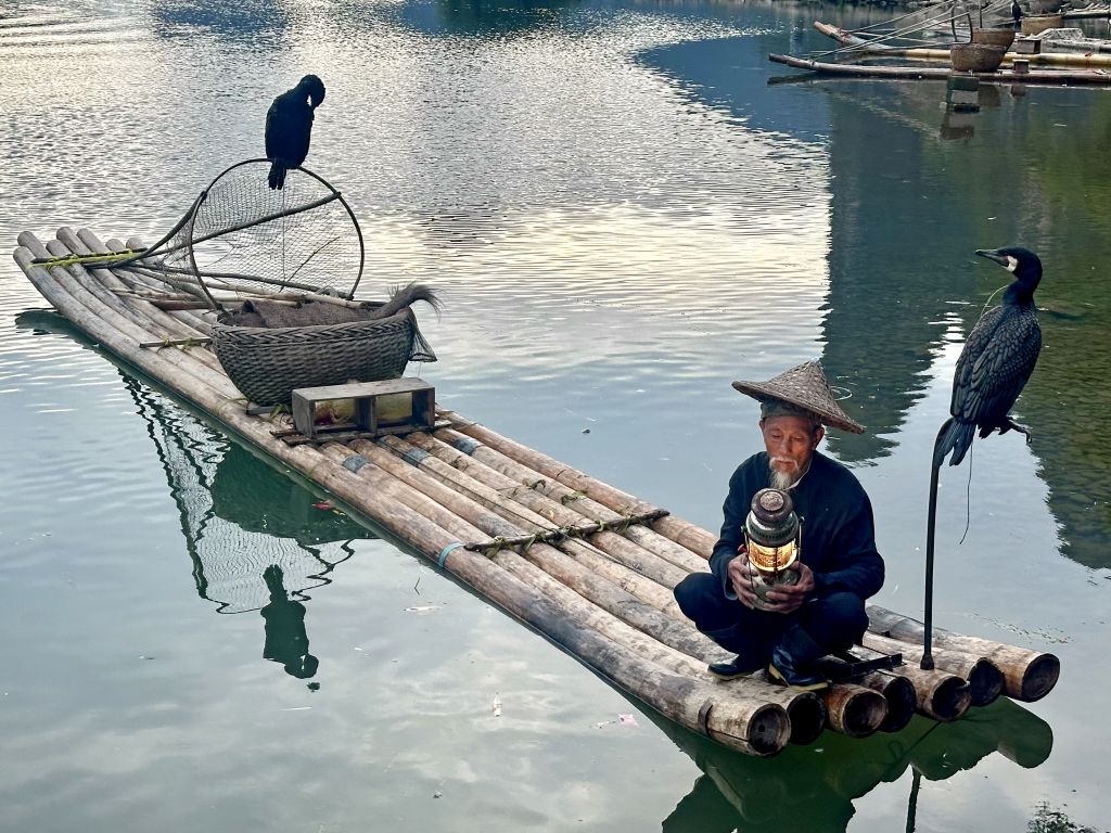 Pescatore su zattera con cormorani sul fiume Li a Yangshuo, antica tradizione della Cina meridionale.