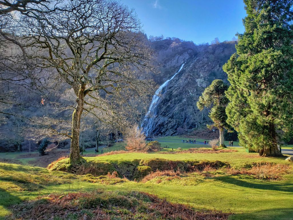 Paesaggio boschivo nella valle di Glendalough con luce del mattino e alberi secolari.