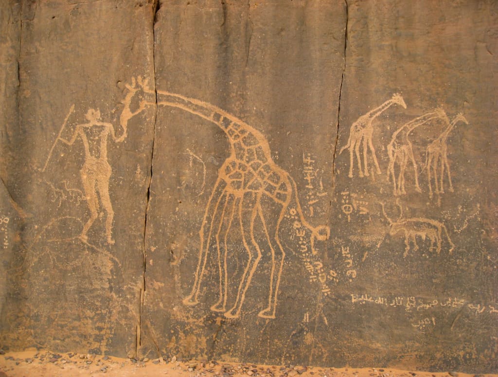 Petroglifi in Algeria su una parete rocciosa raffiguranti giraffe e figure umane.