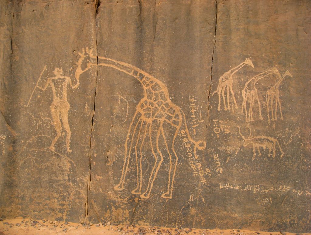 Incisioni rupestri e petroglifi antichi nel deserto del Sahara