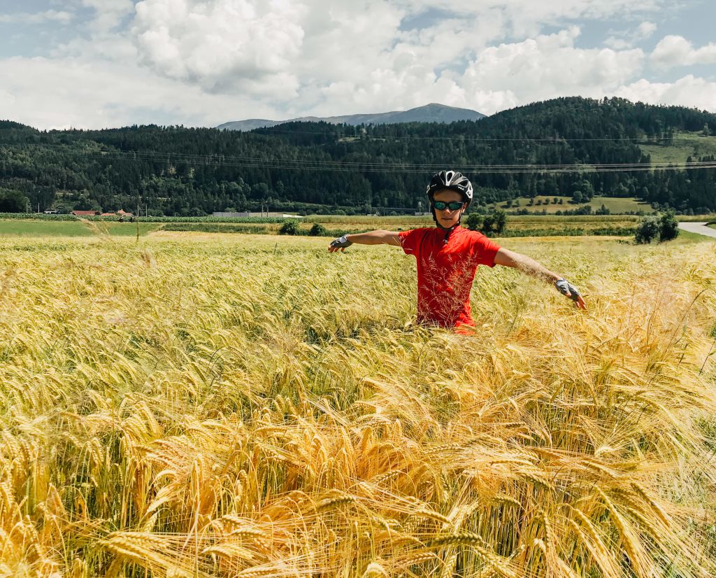Bambino in mezzo a un campo di grano dorato, vacanze in bici per famiglie, da San Candido ai laghi della Carinzia