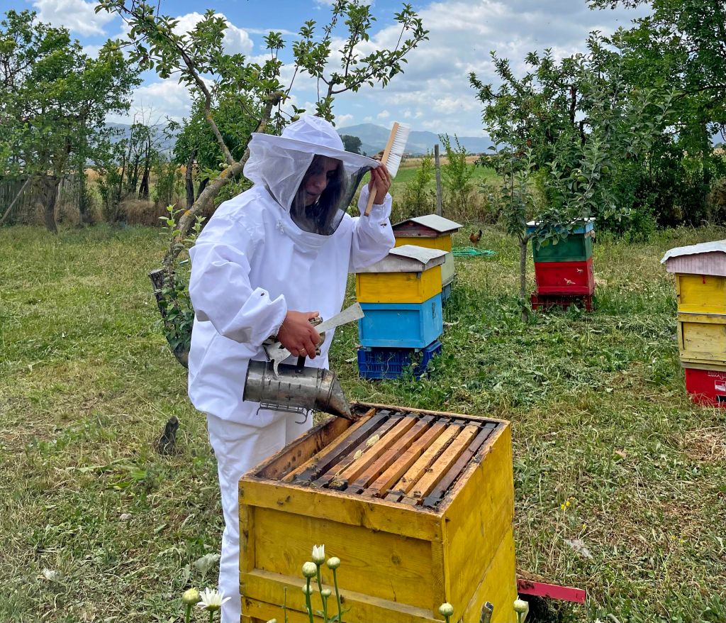 Apicoltore che lavora con un alveare nelle campagne albanesi.
