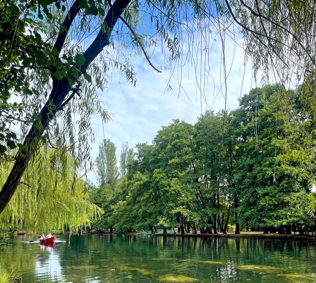 Parco verde con vista sul Lago di Ohrid, Albania.