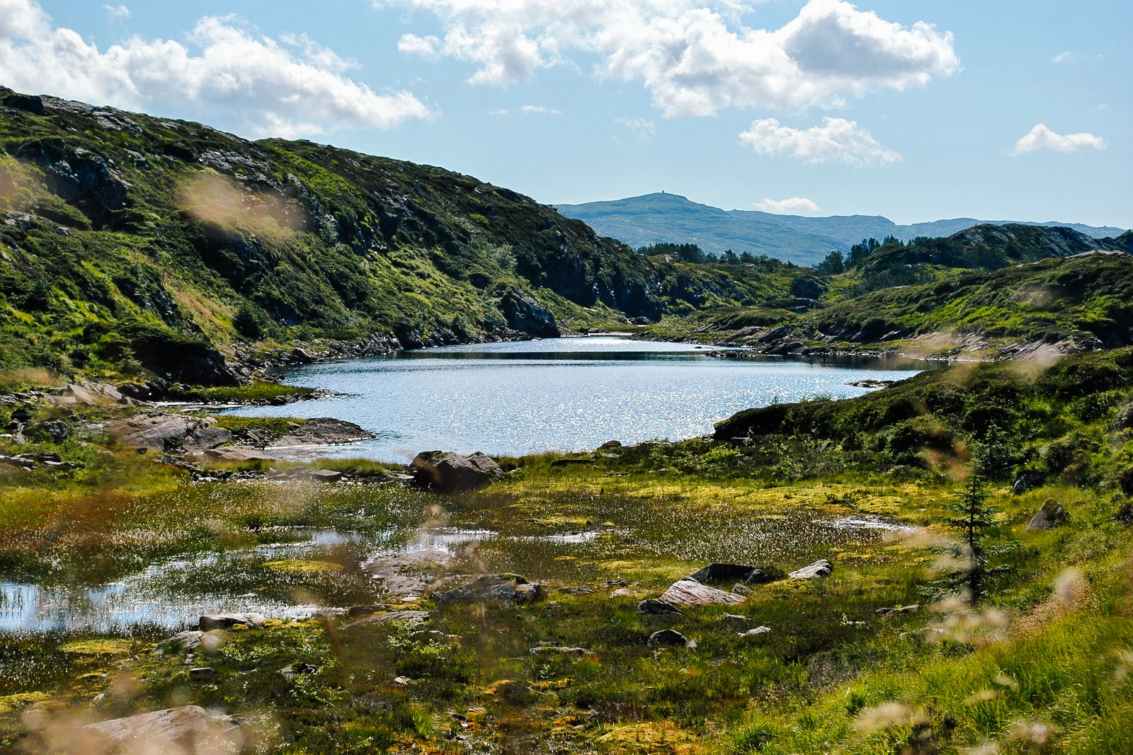 Viaggio in Norvegia, itinerario ecofriendly tra Oslo, Bergen e fiordi