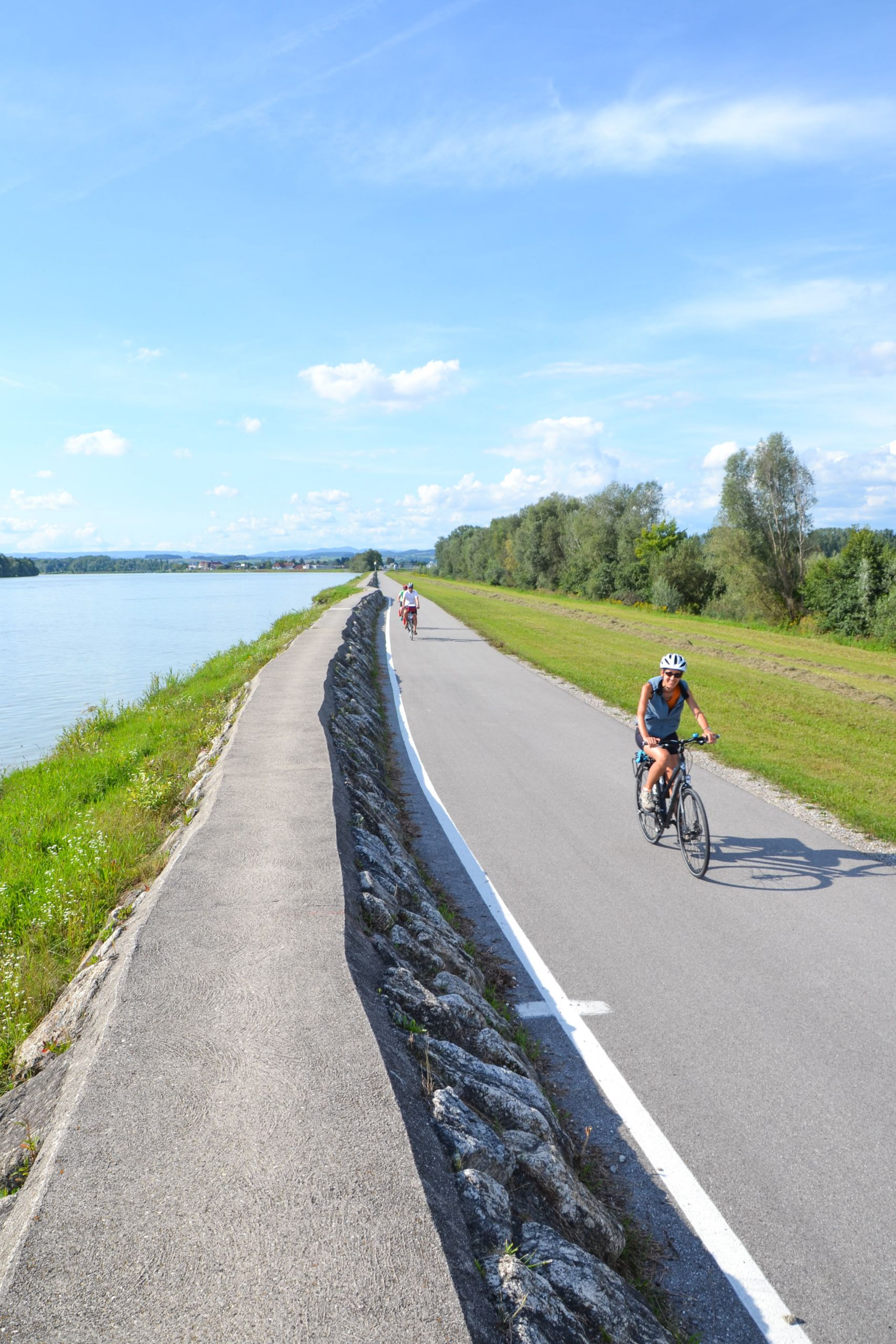Cicloturisti, percorso pianeggiante, paesaggio verde, fiume Danubio, vacanza in bici tra Austria e Germania
