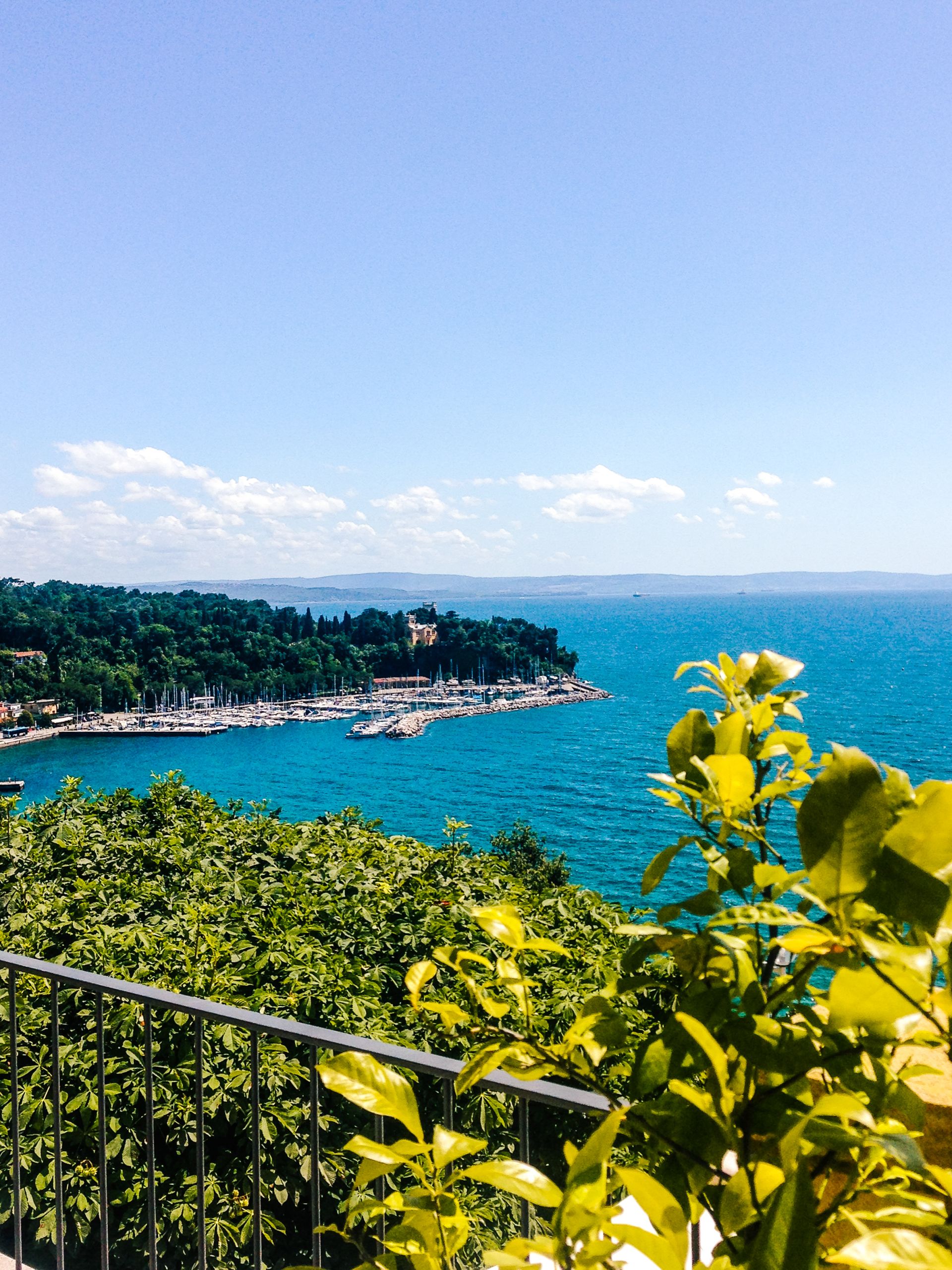 Adriatic coast near Trieste with sea view and Mediterranean vegetation, Italy.