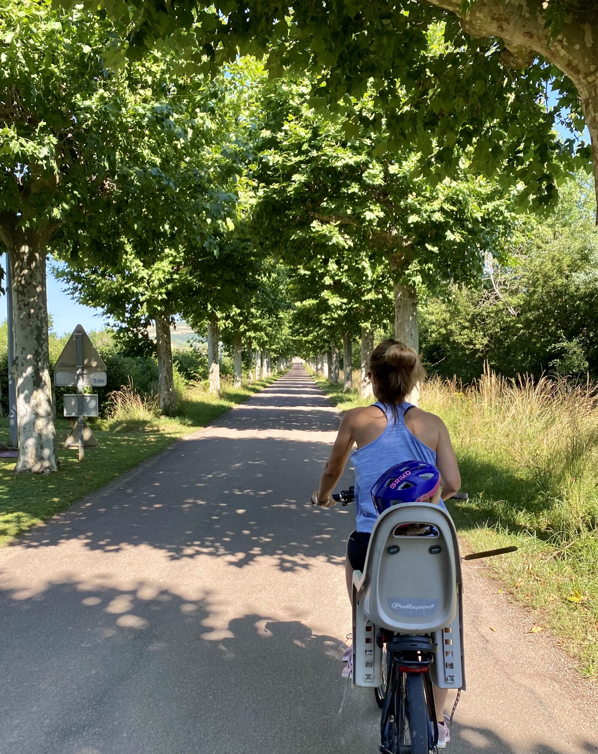 Donna in bicicletta su un sentiero alberato nella valle della Loira, Francia.