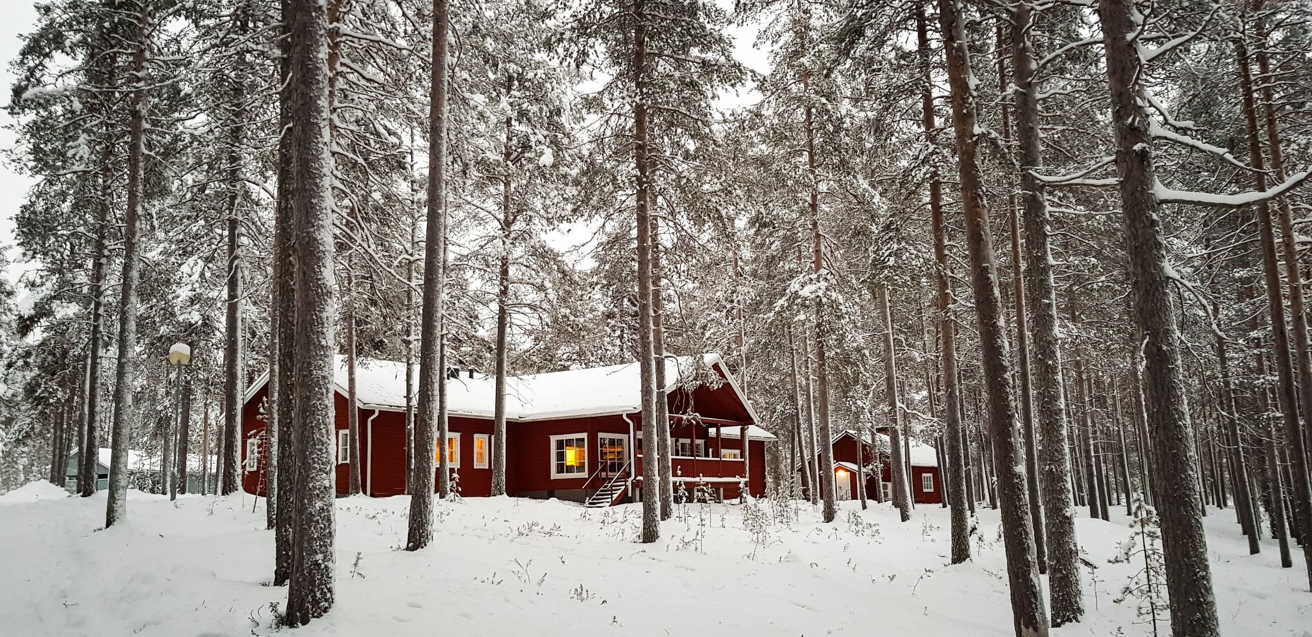 Avventura nella neveVienna Vairo