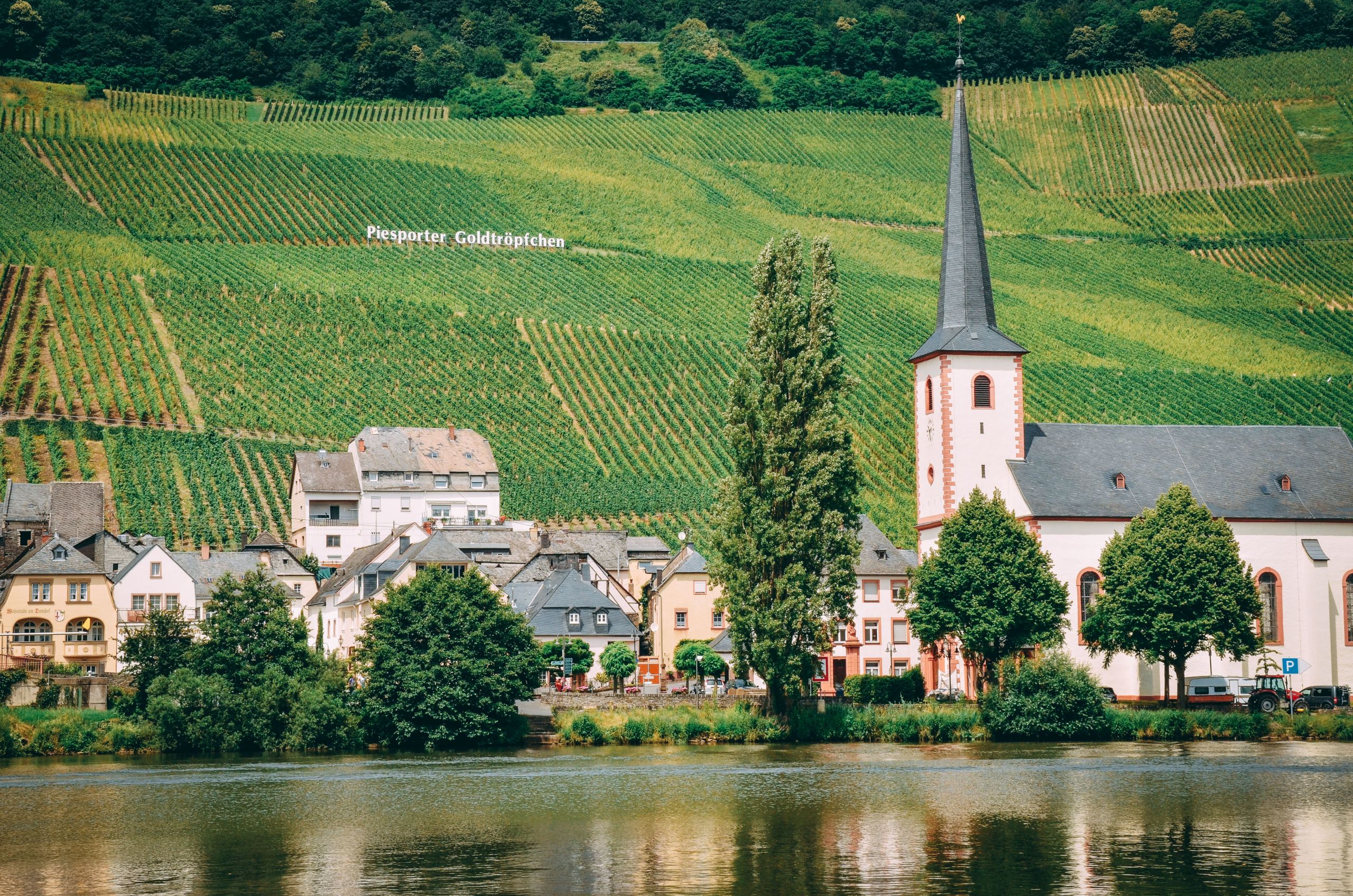 Blick auf die Mosel mit Weinbergen und traditionellen Häusern