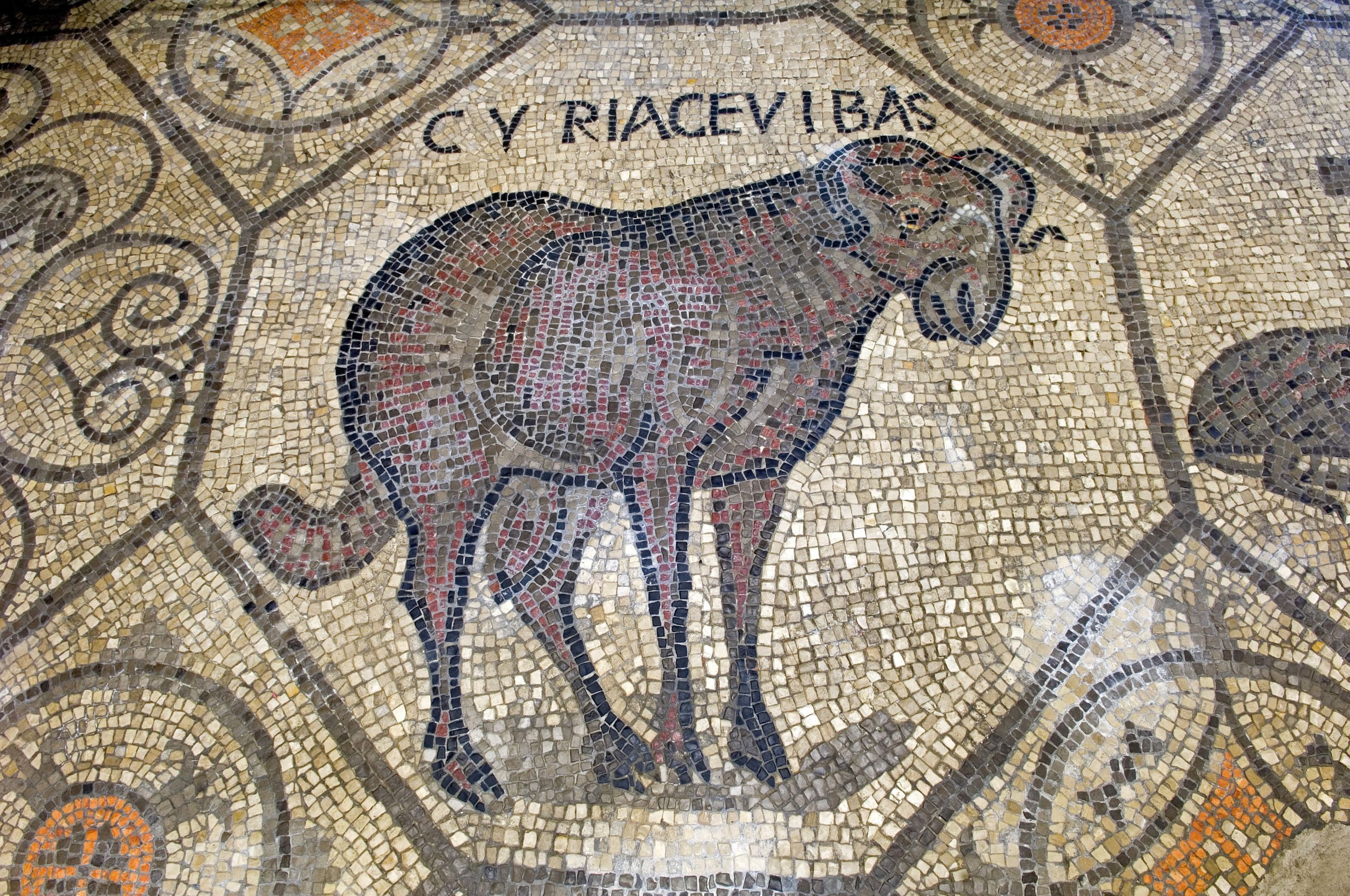 Mosaico romano a Villa Manin, punto di interesse storico vicino alla Ciclovia Alpe Adria, Italia.