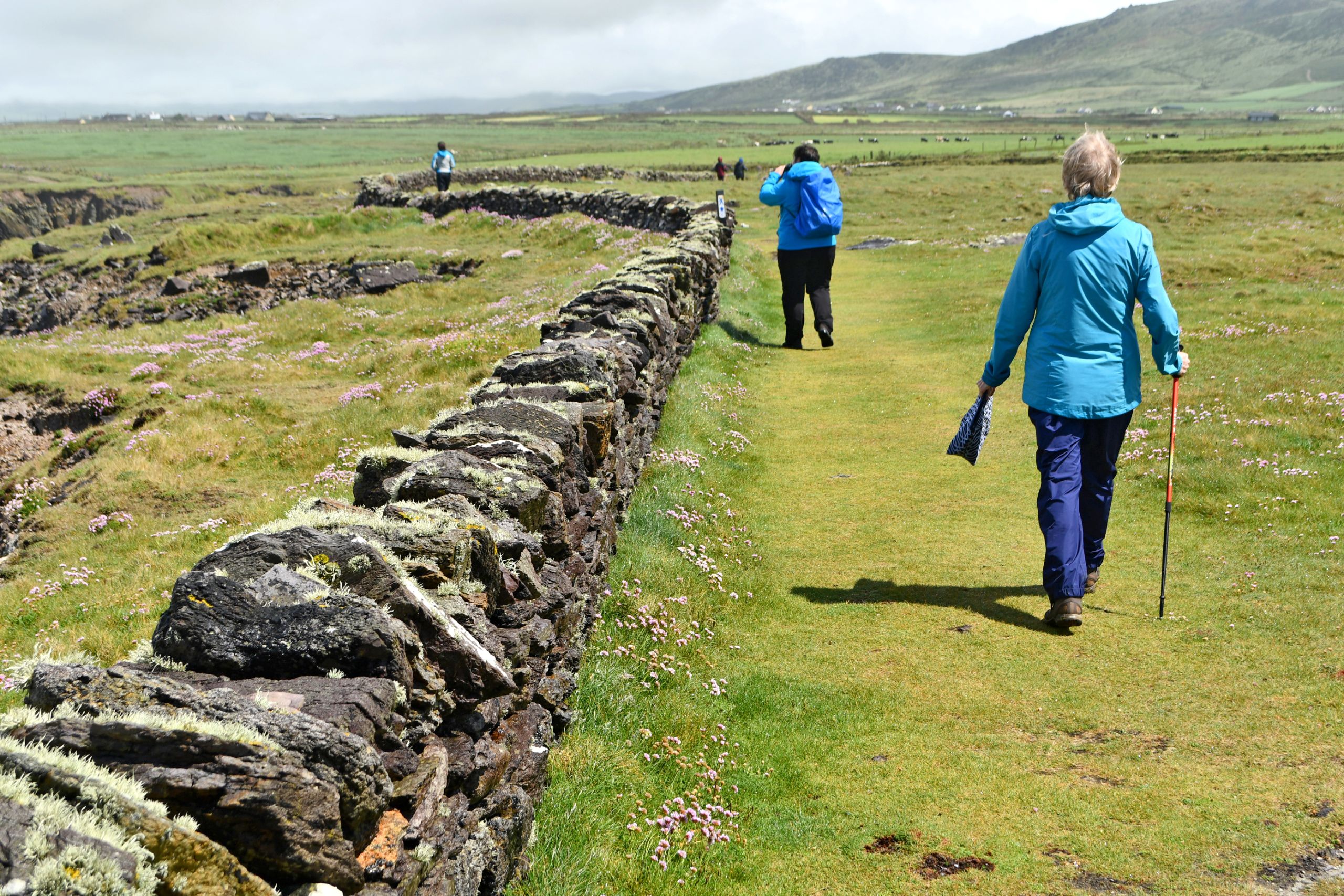 Escursionisti su un prato verde con muretti di pietra lungo il percorso.