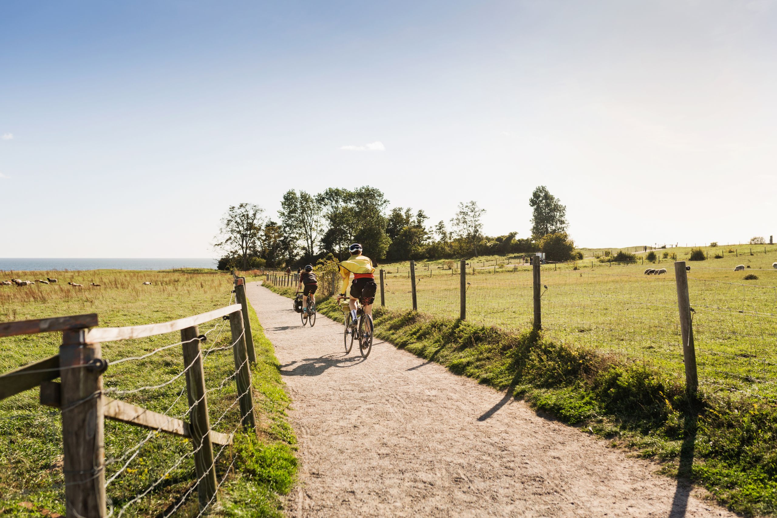 Ciclisti che attraversano un sentiero verdeggiante lungo la costa sud della Svezia, con prati e alberi.