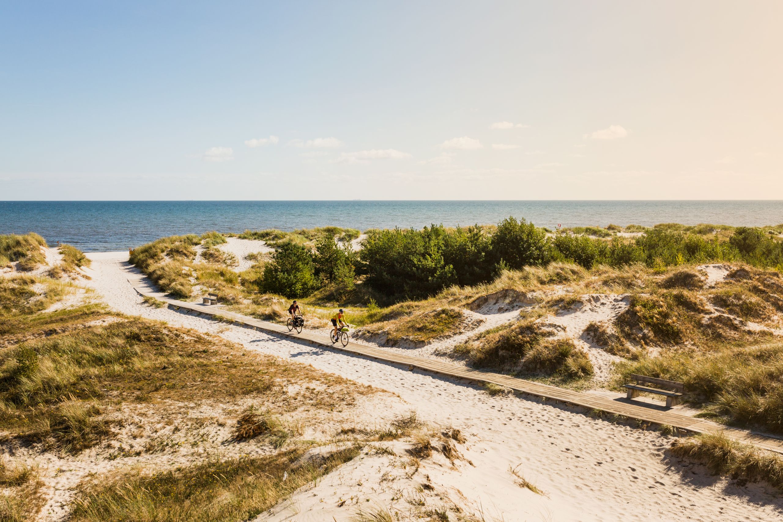 Ciclisti in una passerella tra le dune di sabbia e vegetazione costiera a Skanör, Svezia