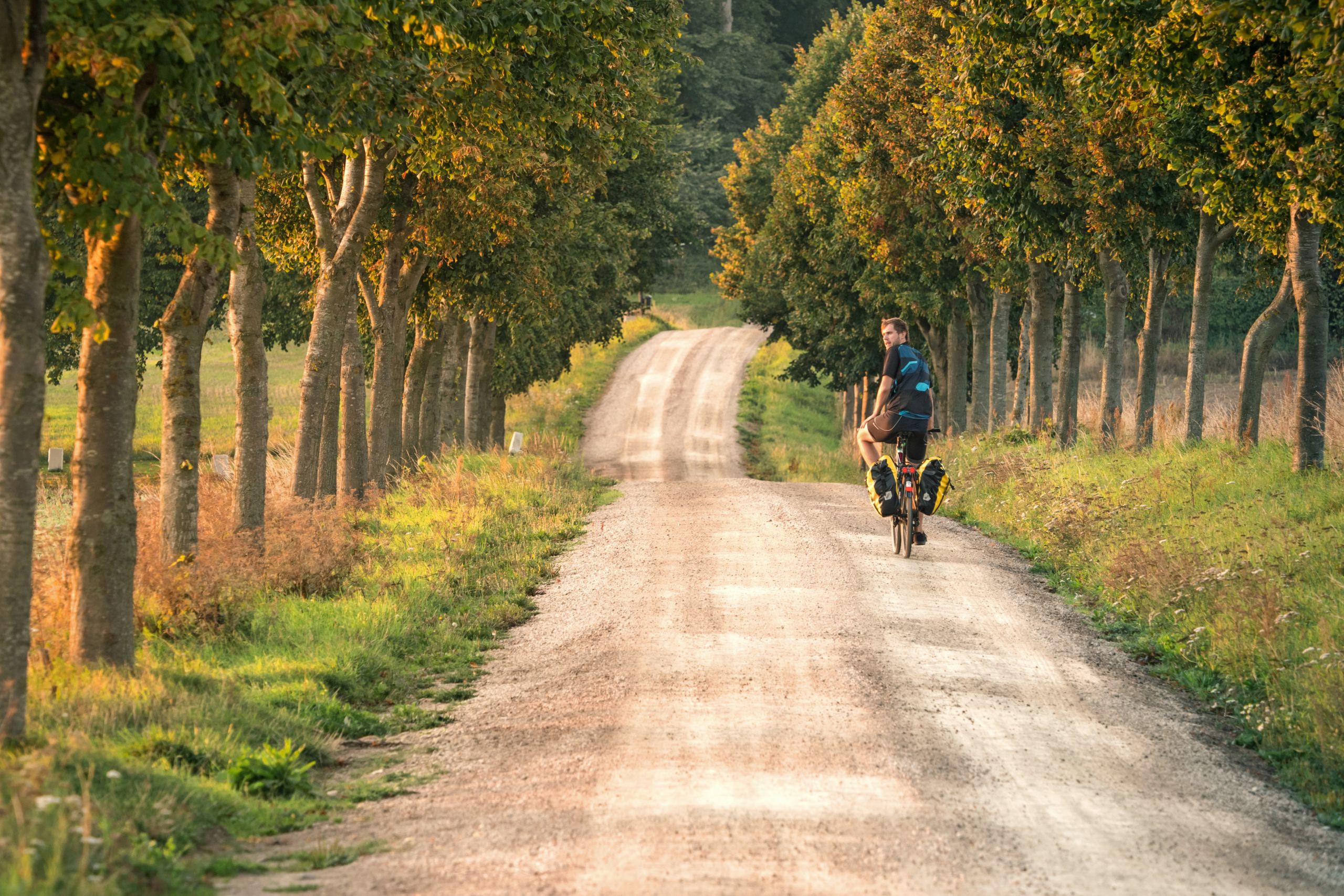 Sentiero alberato fiancheggiato da campi nella campagna svedese lungo la costa sud, con ciclisti.