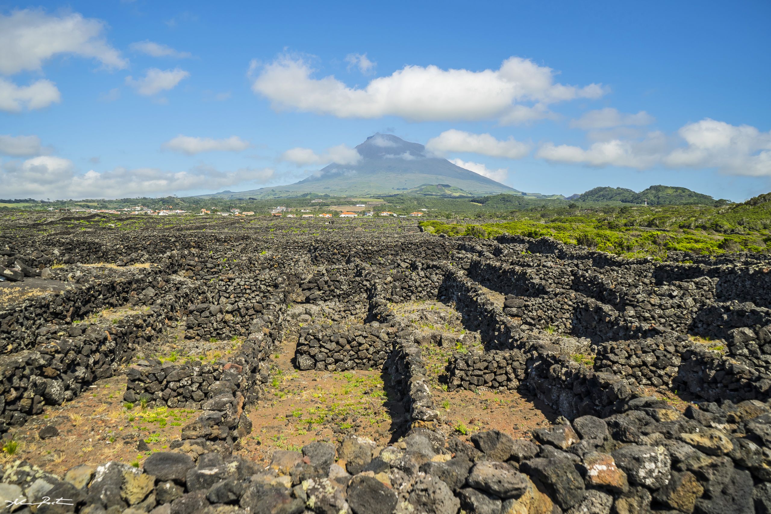 Vista su un paesaggio di campi di lava nera, tipico delle formazioni vulcaniche delle Azzorre.